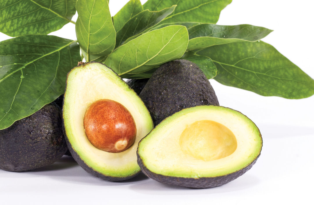 POTENTIAL OF THE GREEN GOLD (AVOCADO)