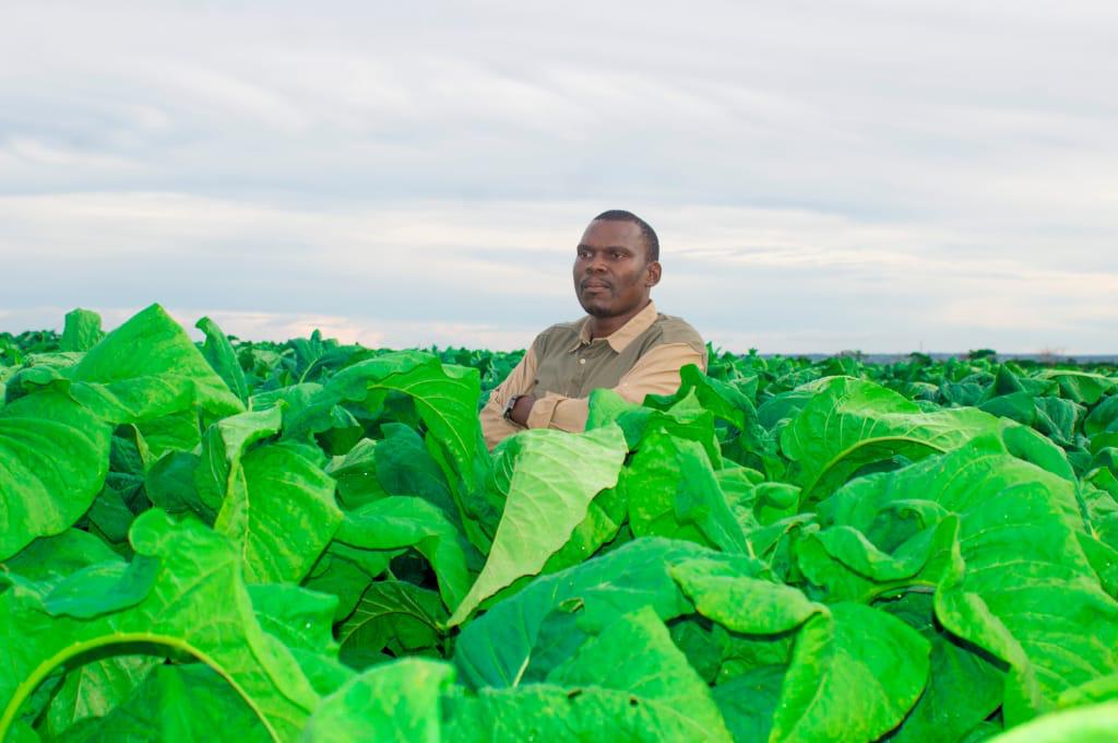 Pardon Mhuri, an Agro-Preneur taking the agricultural sector by storm